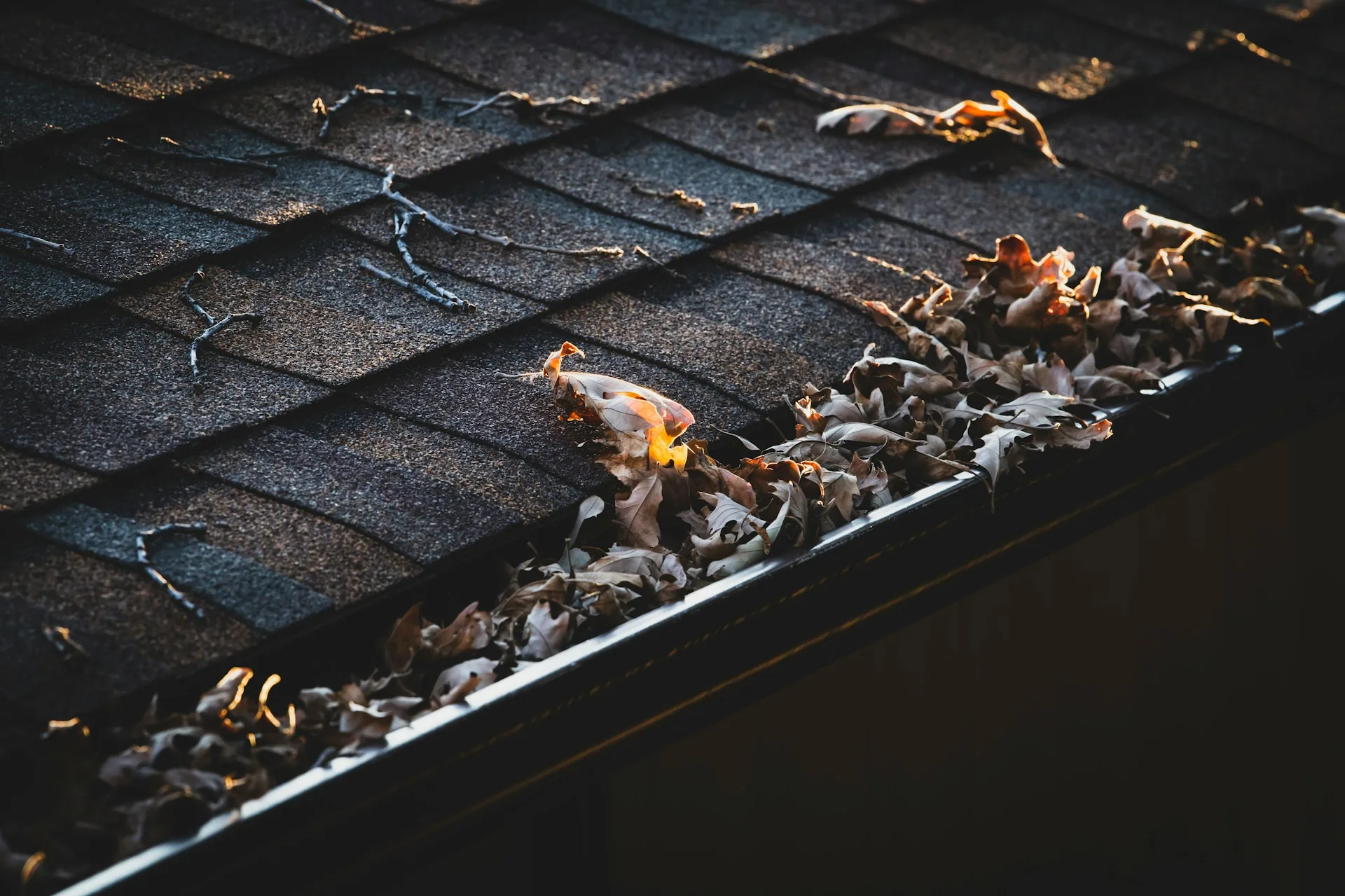 Salem’s Fall Storm Season: Roof and Gutter Readiness for October Rains